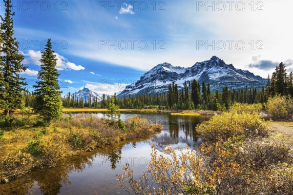 Pine trees reflected in smooth water of the lake. Sunny day. Waterlogged valley in the snowy Rocky