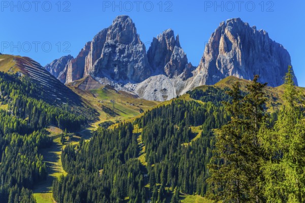 The coniferous forests at the foot of limestone and dolomite rocks. The most picturesque route in