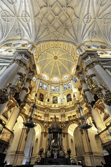 Santa Maria de la Encarnación, Cathedral of Granada, Interior view, Sublime cathedral dome with