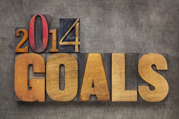 2014 goals - New Year resolution concept - text in vintage letterpress wood type blocks against