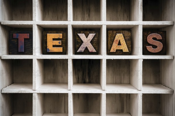 The word TEXAS written in vintage ink stained wooden letterpress type in a partitioned printer's