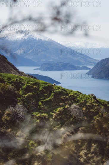 Green hills and snow-covered mountain with lake in the background under a clear sky, Roys Peak,