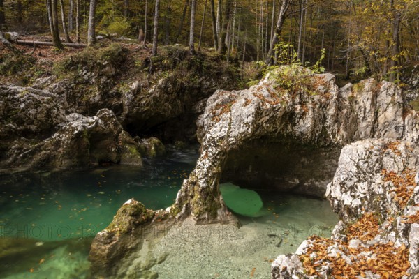 A stream flowing through the beautiful Mostnica Gorge in the Triglav National Park, located in the