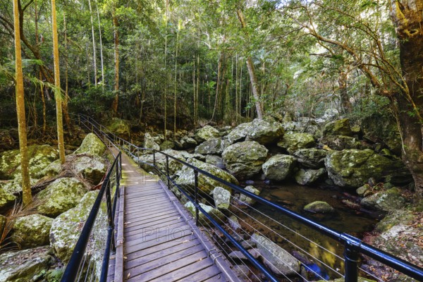 Kondalilla Falls Circuit at Kondalilla Falls in Kondalilla National Park on a warm sunny winter's