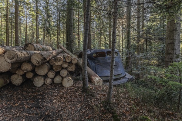 Wrecked Hudson Terraplane K Tourer Sedan built in 1935 that has been sitting in a forest for