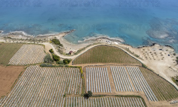 Aerial drone view of greenhouses in a row, covered with a transparent film of growing vegetables