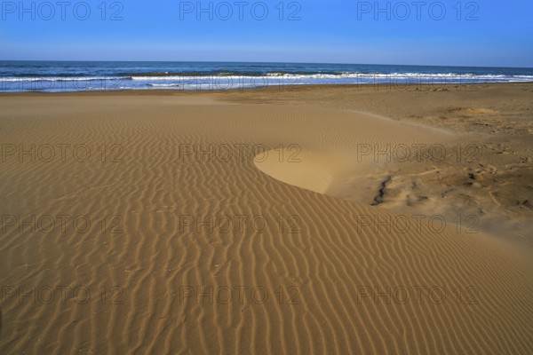 Delta del Ebro Ebre beach Punta del Fangar in Tarragona Costa Dorada Deltebre