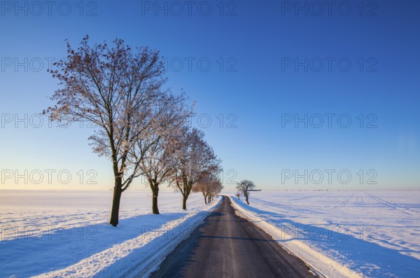Empty road through snow-covered field after a blizzard at sunrise. Clear sky, golden light. Idyllic