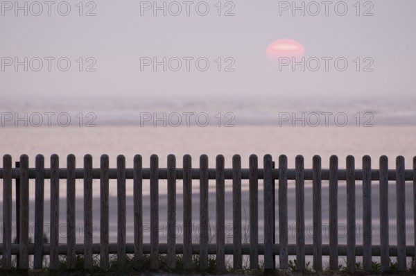 Landscape by the sea with wooden fence in the foreground and calm sunset in the background, Borkum,
