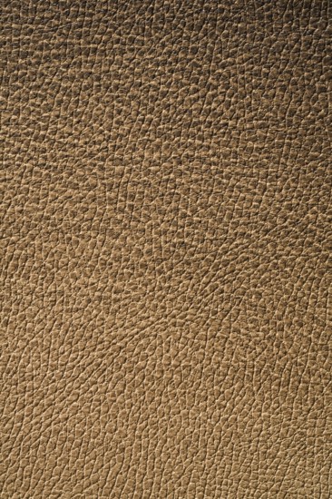 Texture of leather
