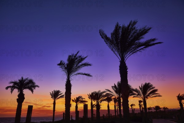 Almeria Cabo de Gata sunset in Retamar beach at Spain