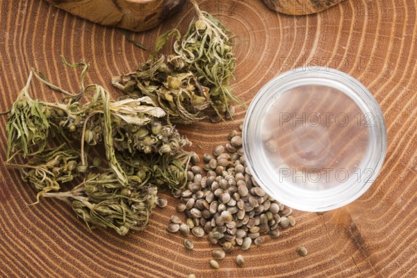 Cannabis extract with leaves