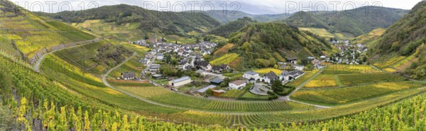 On the red wine hiking trail in the Ahrtal in Rhineland-Palatinate, Germany. A tourist attraction,