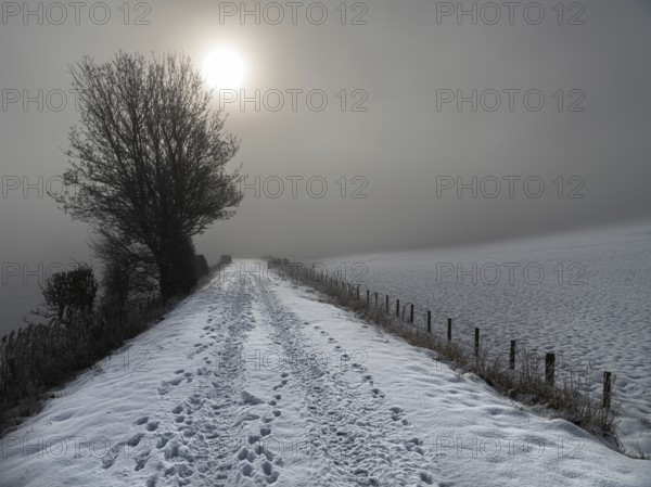 Sun peaking through mist on a snow covered footpath (on disused railway) in the Scottish Borders