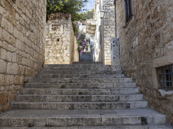 Stone steps, narrow alley in the old town centre, town of Hvar, island of Hvar, Dalmatia, Croatia,