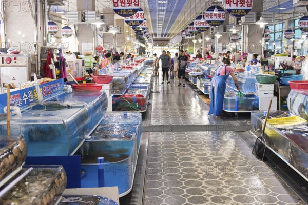 Indoor fish market in Yeosu, South Korea with living fish and people shopping, Yeosu, South Korea,