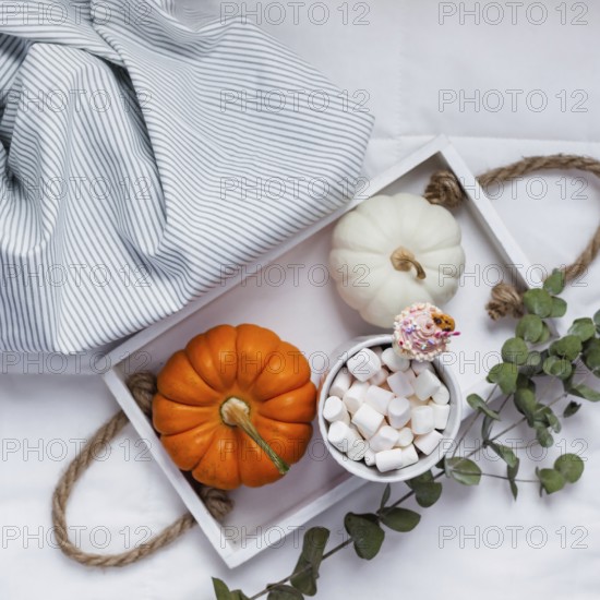 Creative Top view flat lay sill life autumn composition. Hot cacao coffee chocolate with