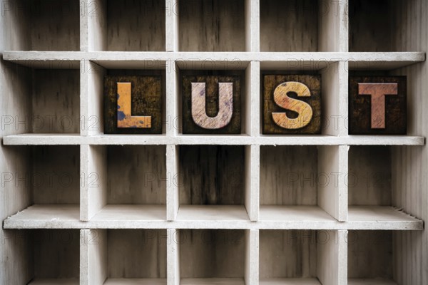 The word LUST written in vintage ink stained wooden letterpress type in a partitioned printer's
