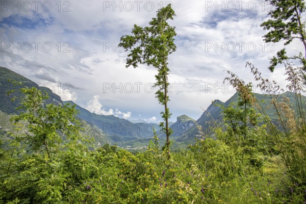 Coastal landscape shot. View from a road leading through a mountainous landscape and breathtaking