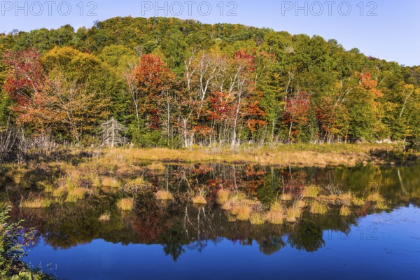 Concept of ecological tourism. The lake is smooth like a mirror. Foliage of forests is reflected in