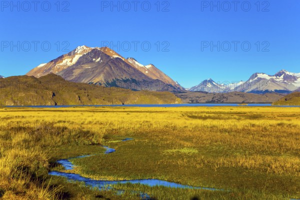 The yellow grass field with streams from underground sources. Trip to the Argentine Patagonia. The
