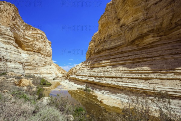 The magnificent gorge Ein Avdat is the most beautiful in the Negev desert. Israel. The ravine is