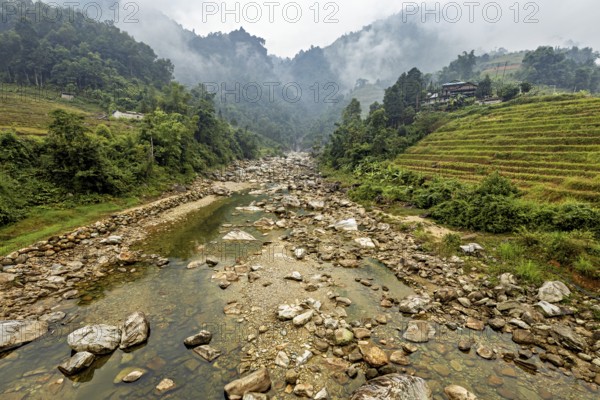 Misty mountain landscape with river and green rice terraces, surrounded by forests, river landscape