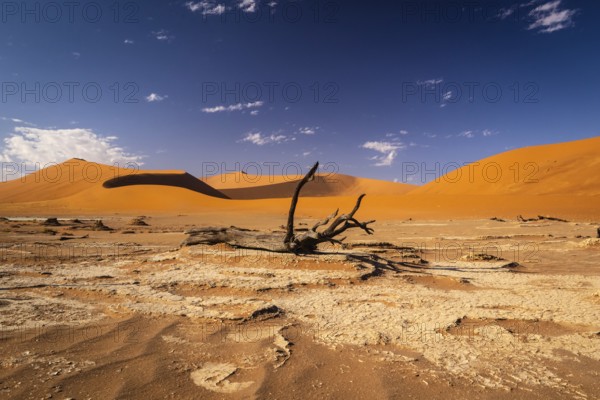 Sossousvlei Park, Deadvlei, Namibia, Africa