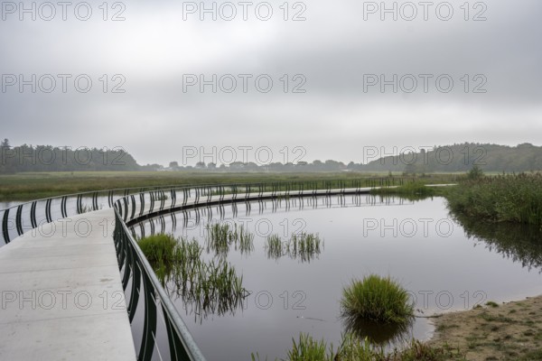 A narrow footbridge winds across a quiet pond of mist under a grey sky, Tureluur bicycle bridge,