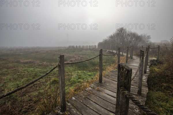 A wooden walkway or footbridge leads through a nature reserve in dense fog. Landscape shot in the