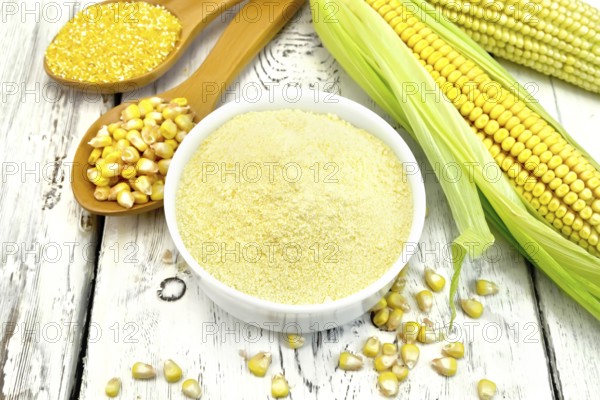 Flour corn in a bowl, groats and grain maize in the spoons, cobs on the background white wooden