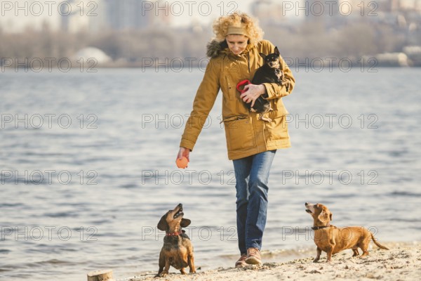 Woman plays with dogs. Pets and dogs training and educating dogs. Companion pets concept. dog lover