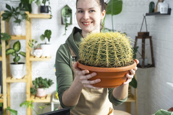 Large echinocactus Gruzoni in the hands of a woman in the interior of a green house with shelving