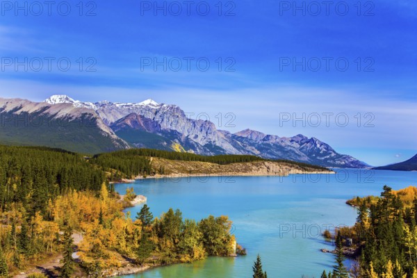Mountain valley in the Rocky Mountains of Canada. Picturesque shores of Abraham Lake. Golden Autumn
