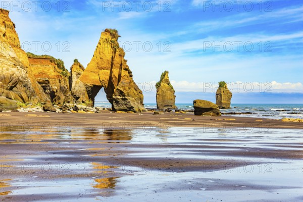 The Tongaporutu beach on the Pacific coast. New Zealand. North Island. Low tide on the Pacific