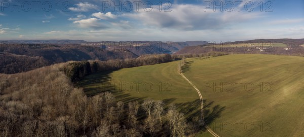 Forest landscape from the air