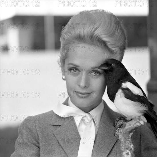 Tippi Hedren. American actress, born january 19 1930. She was discovered by film director Alfred