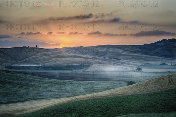 Crete Senesi Crete Senesi are literally Siennese clays and the distinctive grey colouration of the