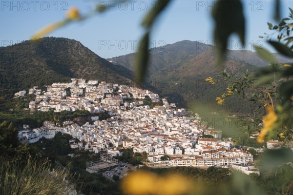 Warm evening light bathes the white village of Ojen, Spain, nestled in the lush mountains of