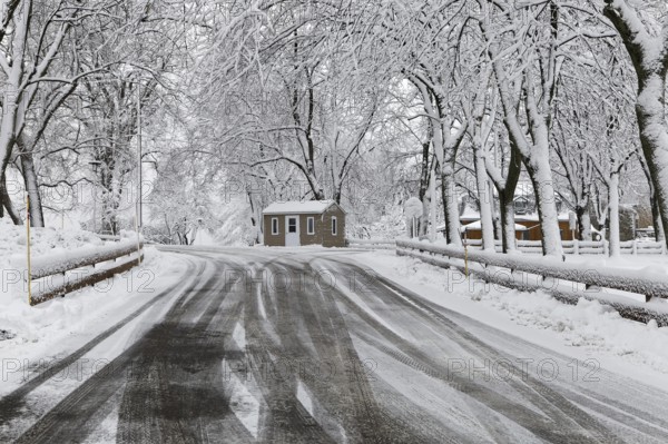 Winter, tire tracks in snow, Province of Quebec, Canada, North America