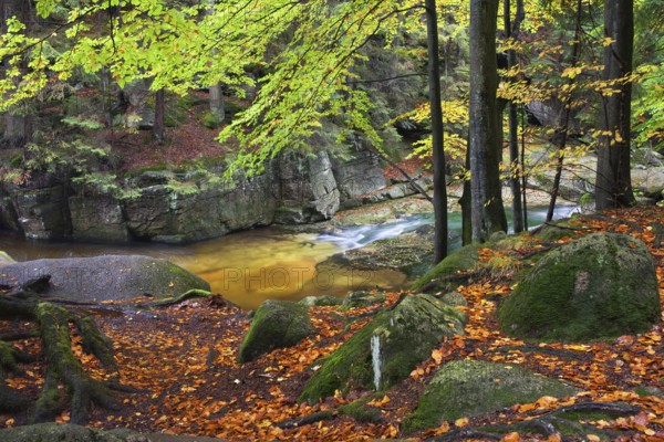 Szklarka stream in autumn forest of Karkonoski National Park, Karkonosze Mountains, Lower Silesia,