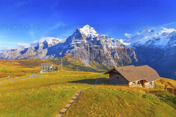 Grindelwald First, Switzerland aerial Swiss Alps mountains panorama landscape, wooden chalet and