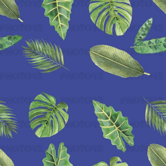 Seamless pattern of Tropical botanical leafs