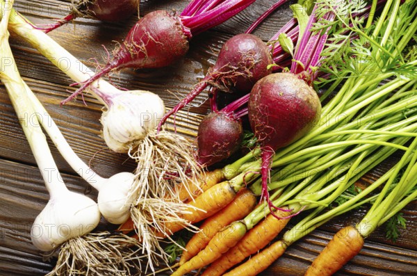 Vegetarian background of fresh organic beetroots green garlic and carrots on kitchen wooden rustic