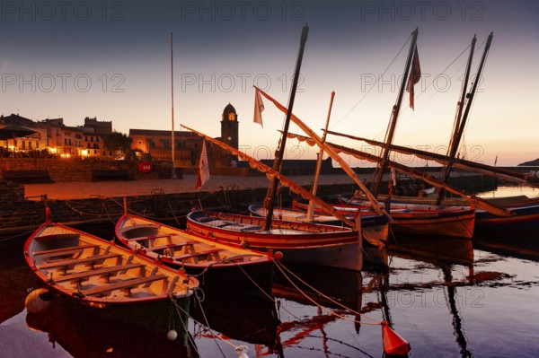 Catalan pointu boats at early morning at the port of Collioure, Cote Vermeille, Pyrenees-Orientales