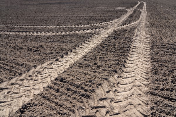 Tractor tracks, agricultural trails at a cultivated field in springtime, farmland near Wesertal,