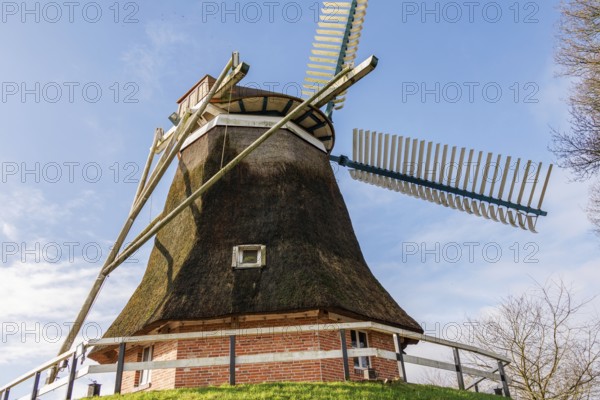 Traditional windmill with thatched roof and wooden construction under a clear blue sky, burlage,