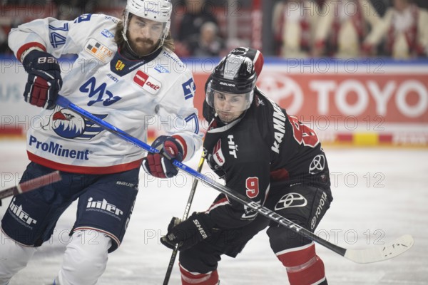 LanxessArena, Cologne, North Rhine-Westphalia, Maximilian Kammerer (Cologne Sharks, #9), Ryan