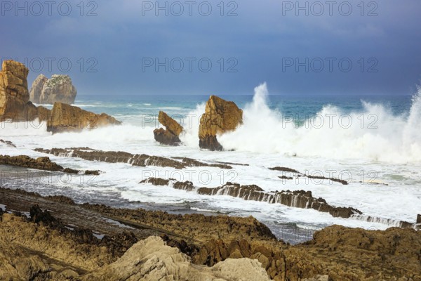 Storm waves break on the coastal rocks. Snow-white sea foam glistens in the dim autumn sun.