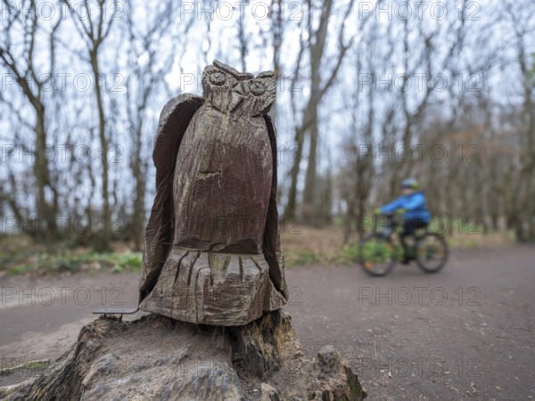Wooden owl on a path in the haunted forest on the cliffs leading to the Baltic Sea, Nienhagen,